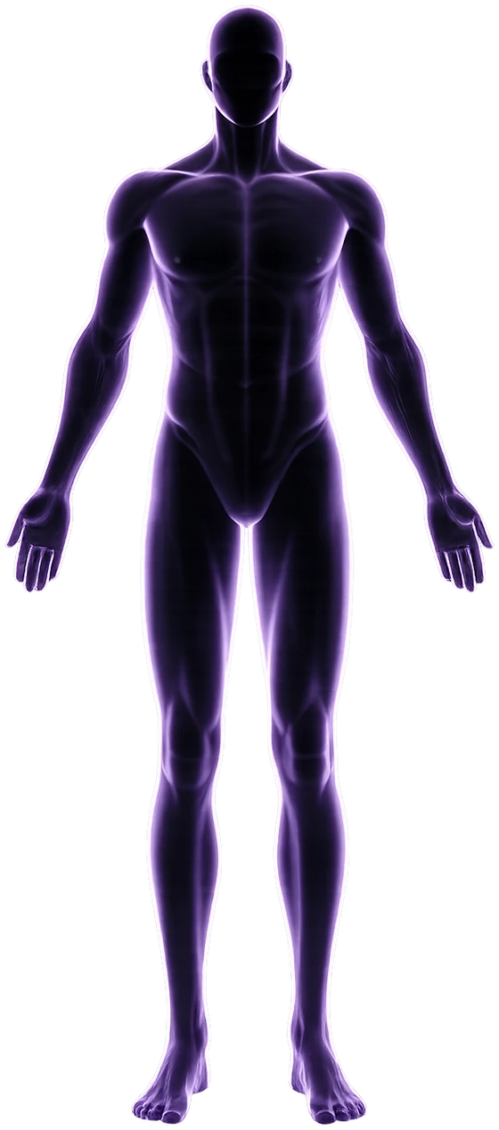 Cuerpo humano del reporte de bioimpedancia de Neri